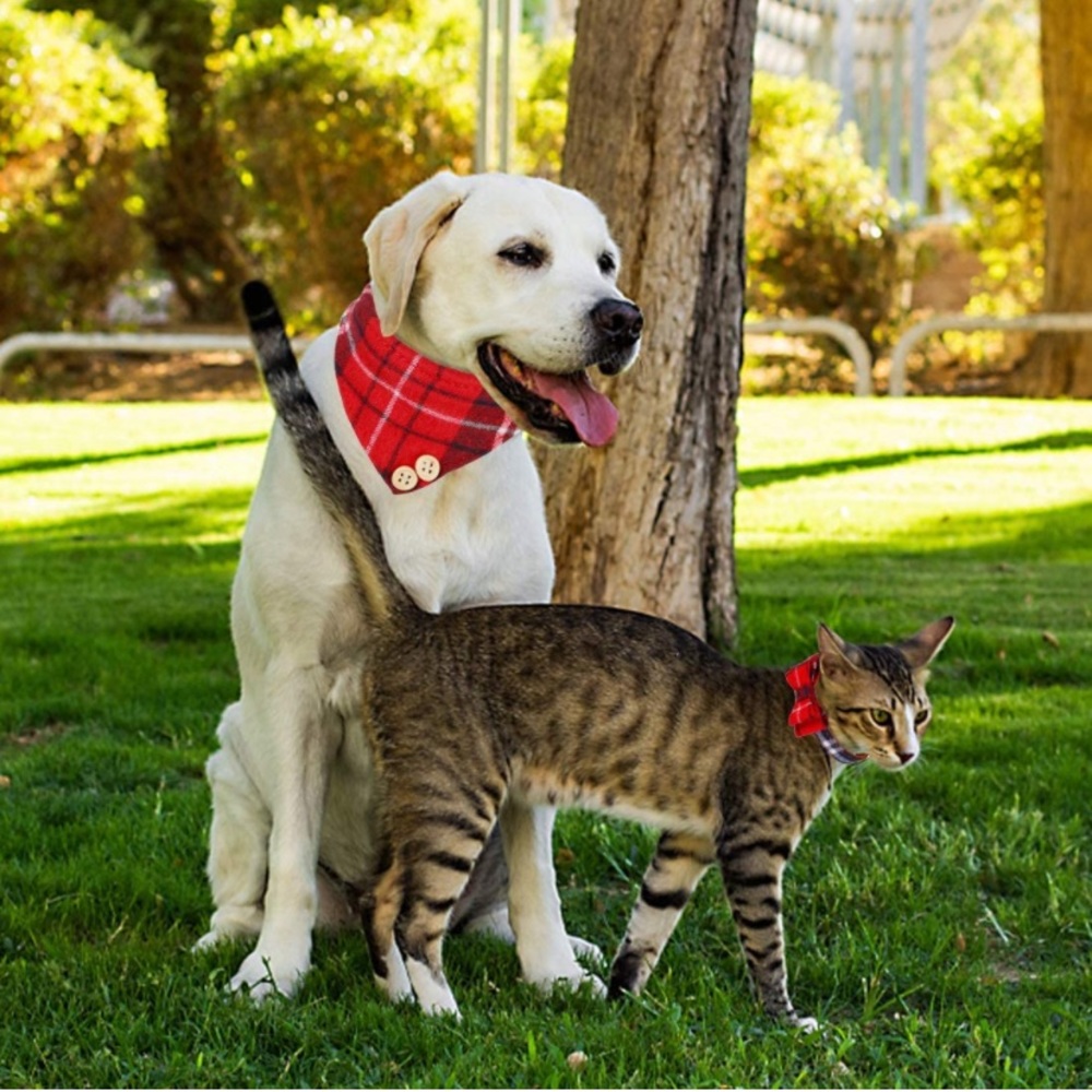 Bow Tie Dog Collar and Leash Set,3 PCS - Picture 7 of 8